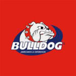bulldog